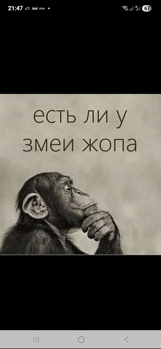 Ebaflanvkube tweet media
