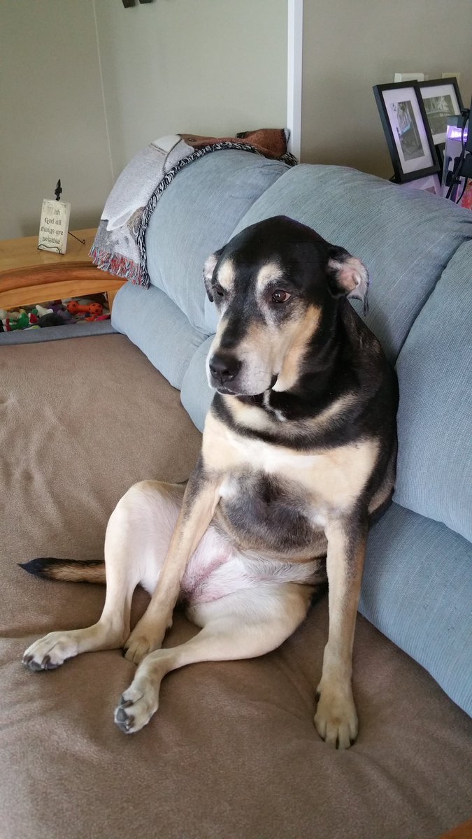 Shawn McGowan tweet media