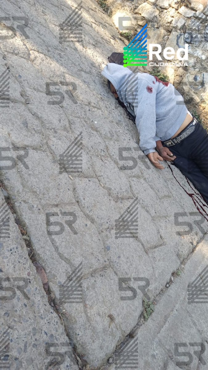 Cinco Radio Oficial tweet media