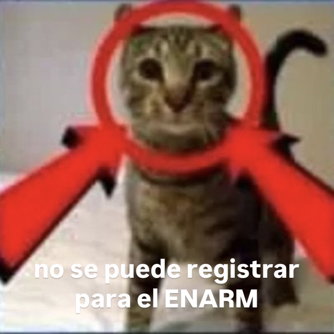 HusimAcosta's tweet photo. @estamrdanolauso https://t.co/Oh8Xi9irfn
