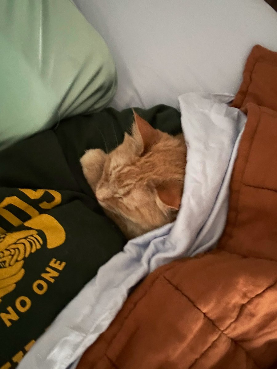 Smöl Patrick (& Gilly 🙄) tweet media