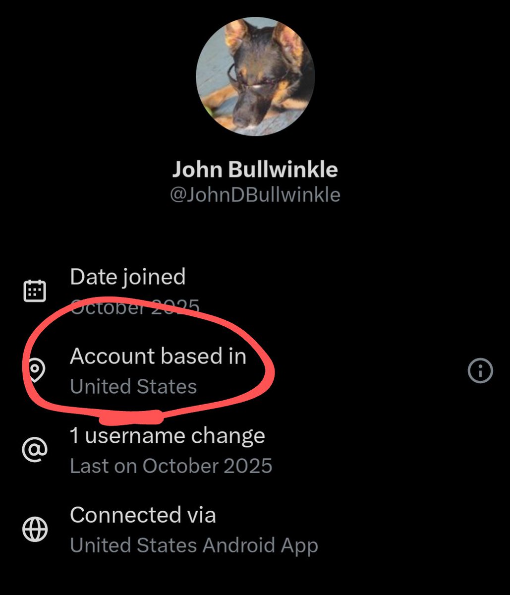 Boogiepop 🇨🇵 tweet media