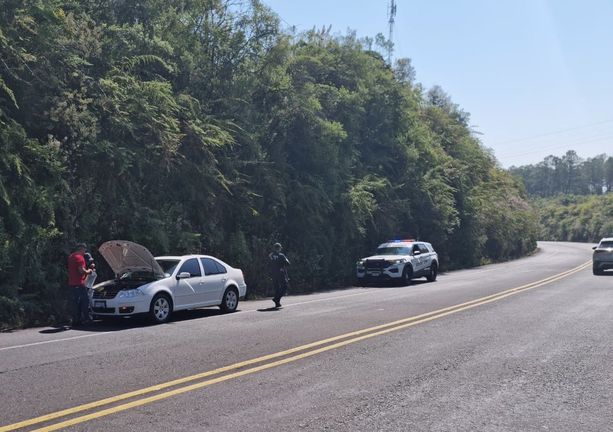 SSP MICHOACÁN tweet media