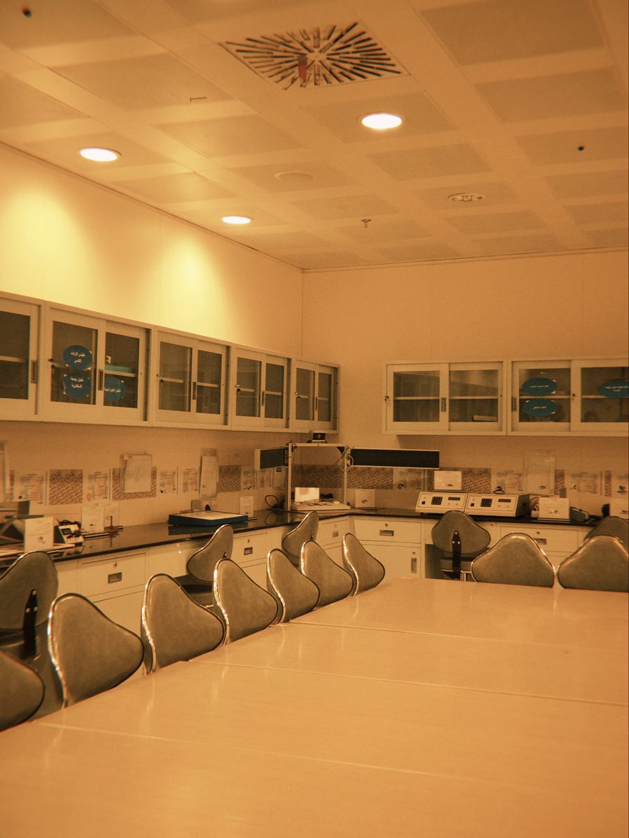 Alhanouf tweet media