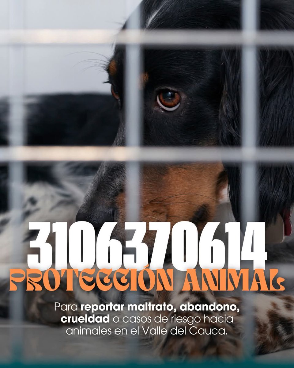 ElPirobo_TM tweet media