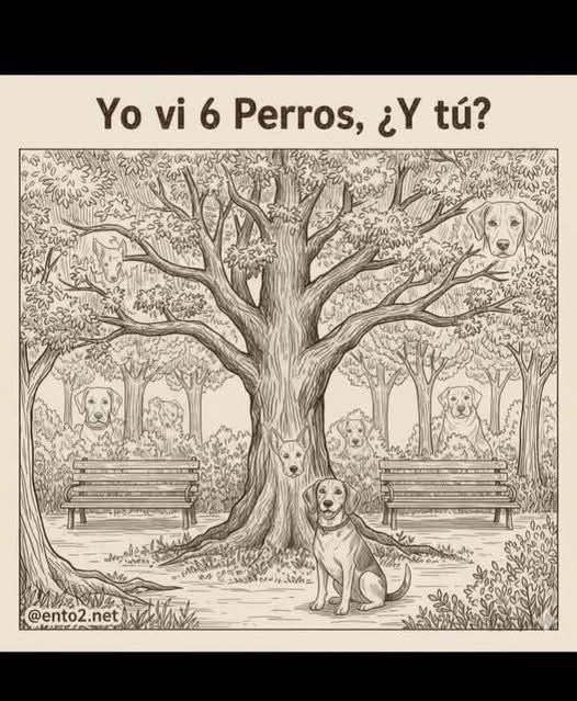 Diego Royet tweet media