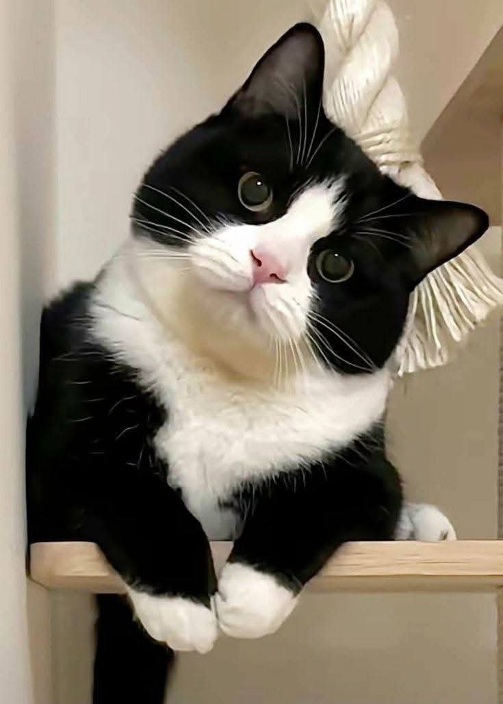 Sara Mary ⭐❤️ tweet media