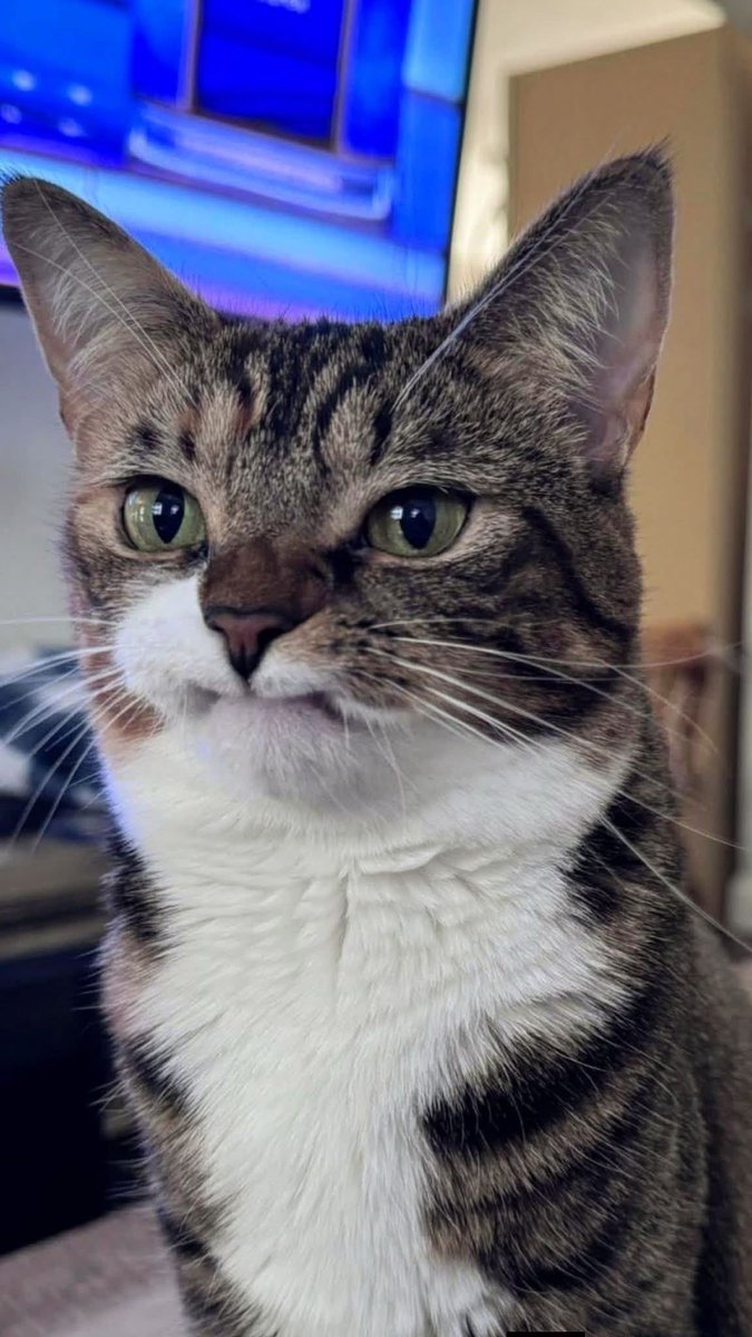 twaniimals's tweet photo. https://t.co/ZK0aS5RQSM