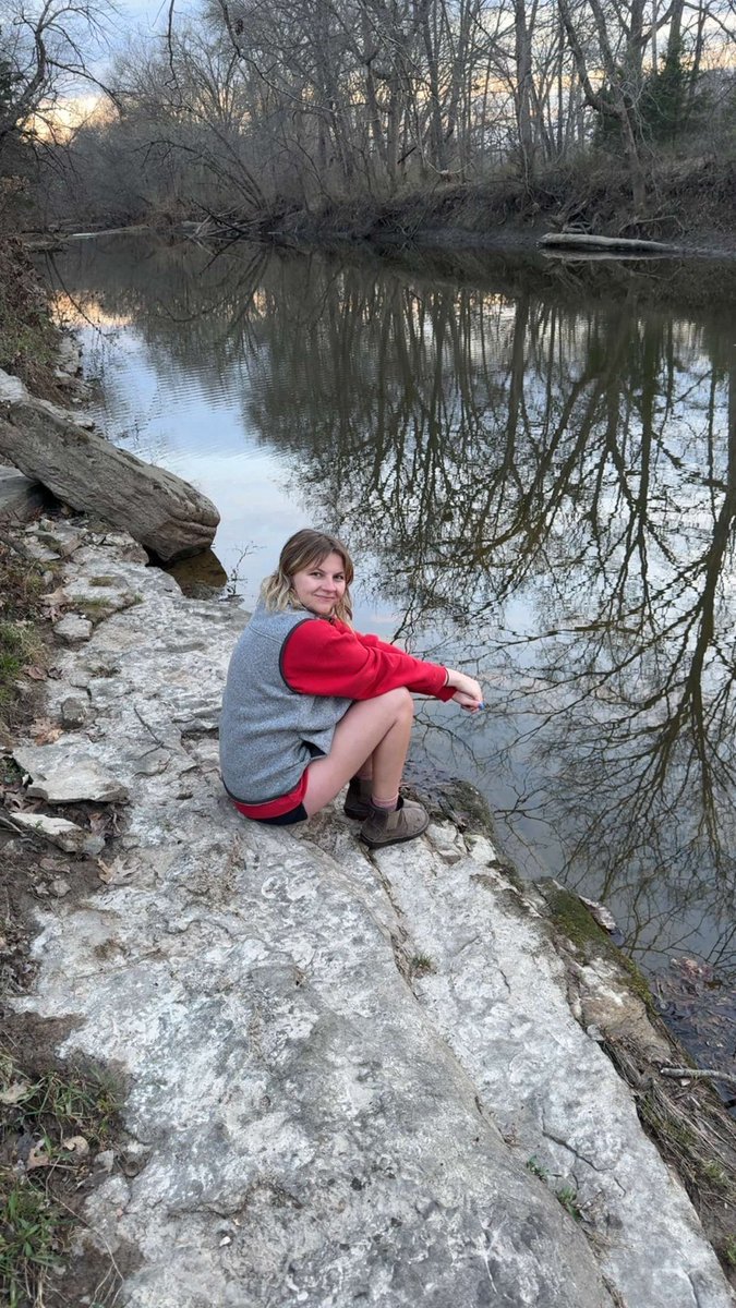 king ham tweet media