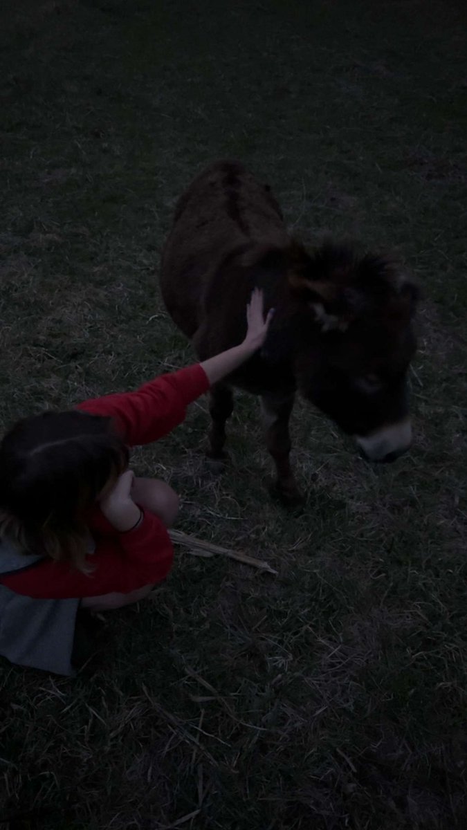 king ham tweet media