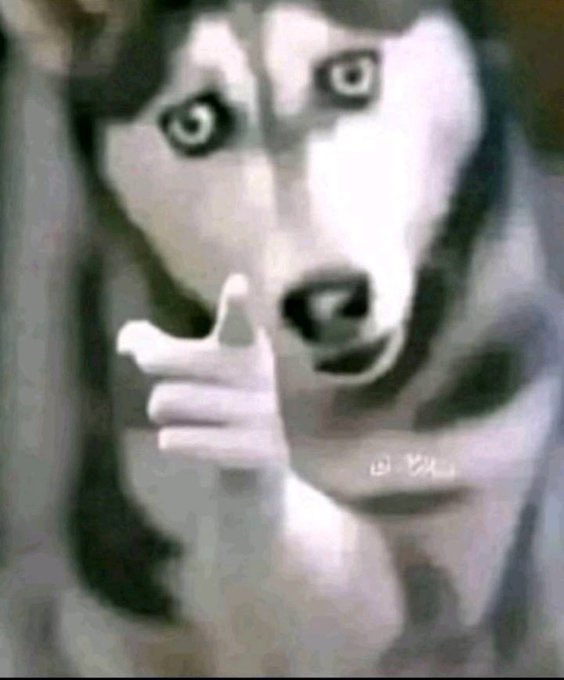 Abdul Soft tweet media