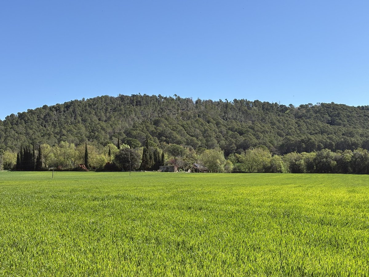 Sebastiarp's tweet photo. Avui caminada espectacular! Peró 1r esmozar de forquilla al @restaurantlacorda i tot seguit cap al #castelldesegueró #beuda #altagarrotxa unes vistes espectaculars, una tranquilitat brutal! Relax absolut! #bonasetmanasanta 🙋🏻♂️🥂🤗 https://t.co/V7f2j60B4D