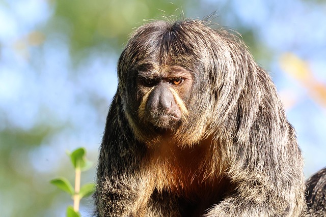 Marie Lee tweet media