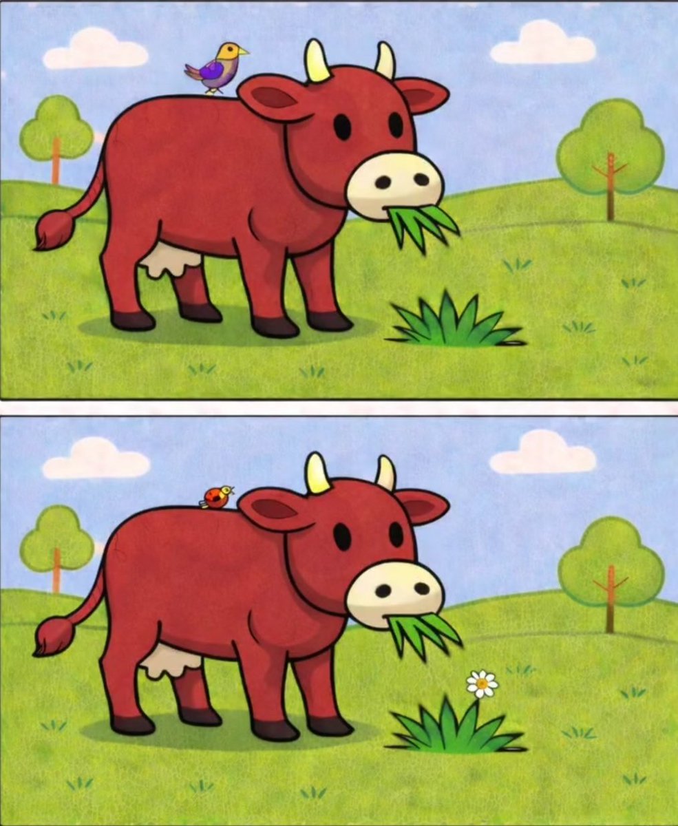 soares ᶜᵉᶜ tweet media