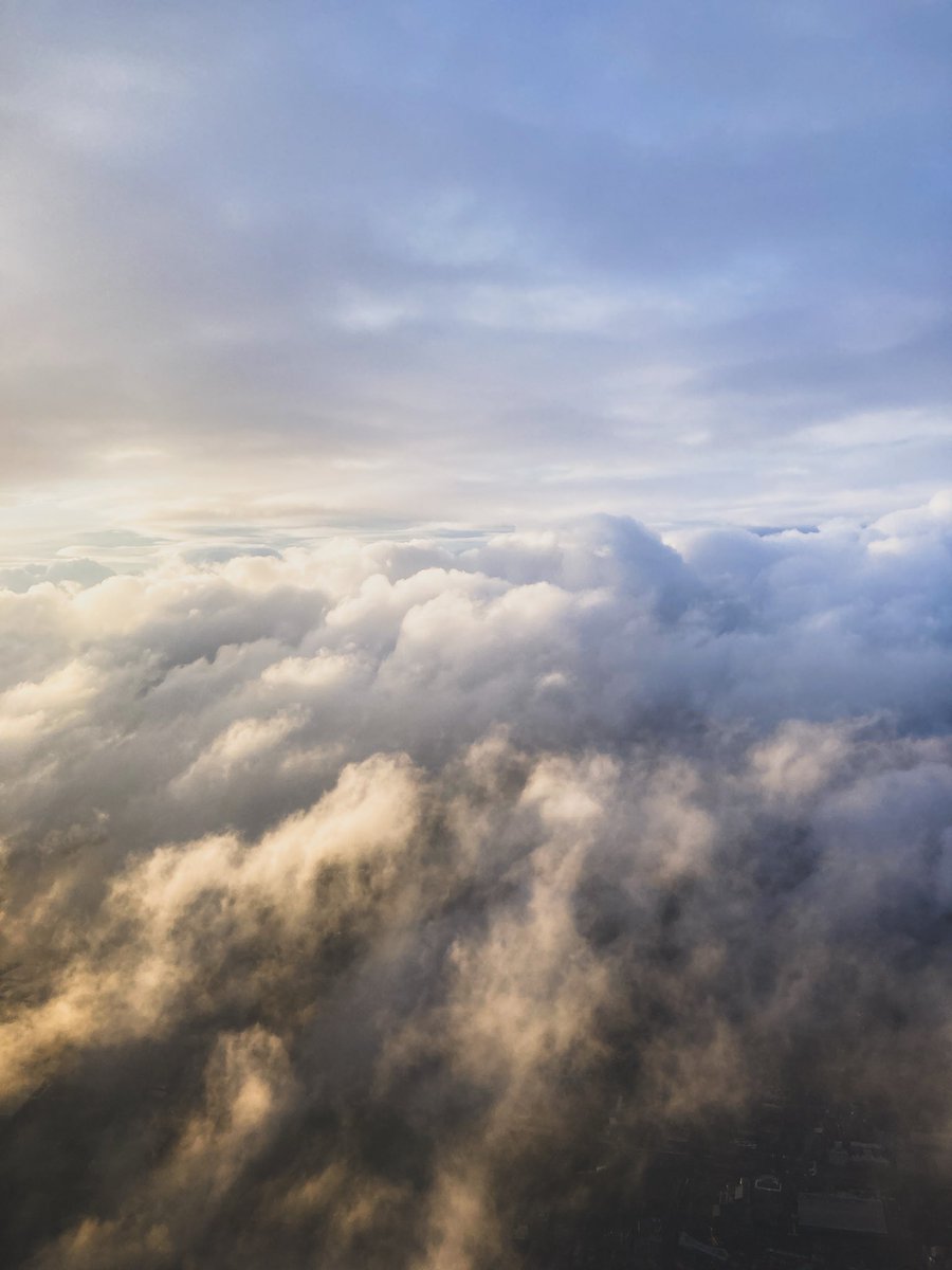 Alejandro Castillejo Cuéllar tweet media