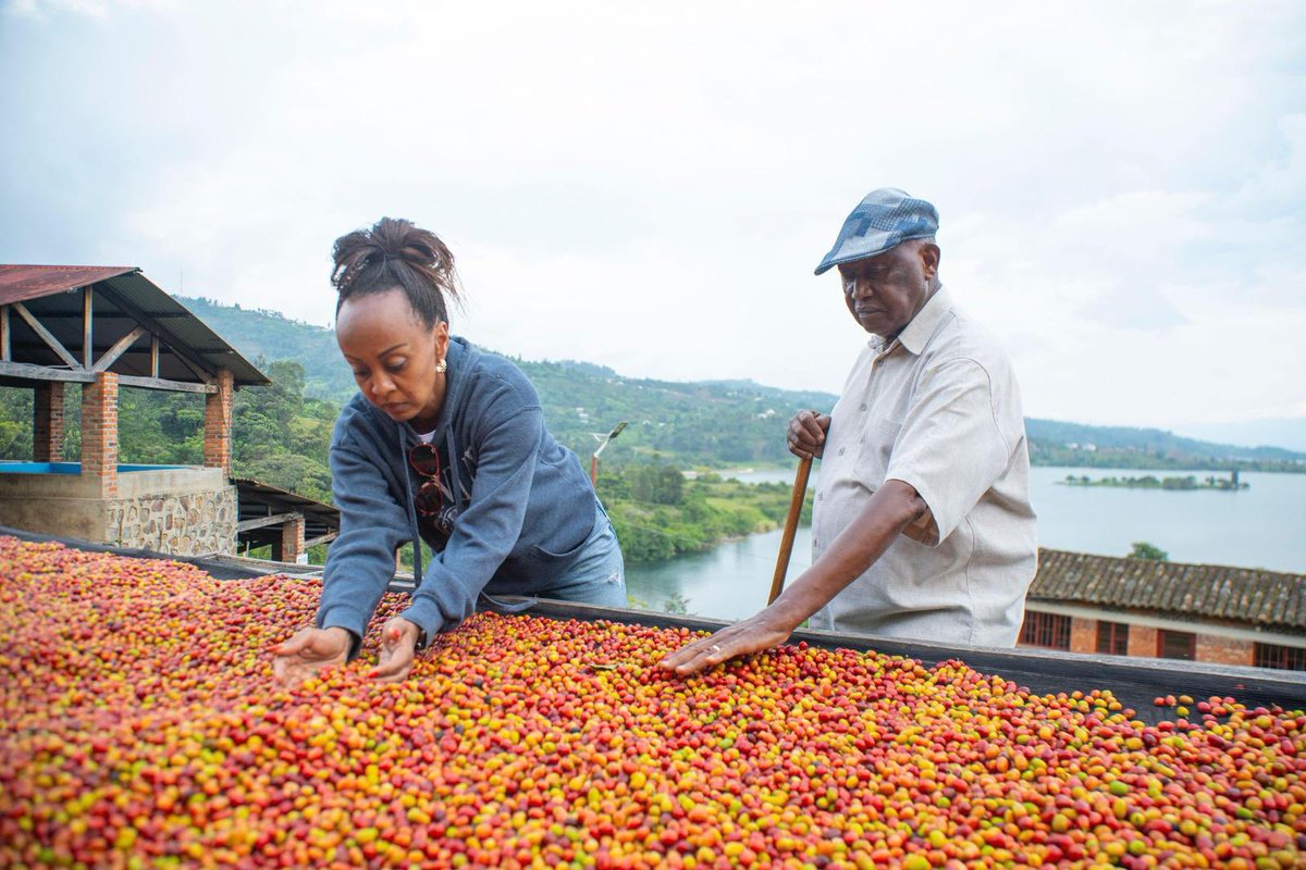 Karirima1's tweet photo. Michaelle Kubwimana, appointed Managing Director of #Kinunu Agroprocessing in December 2025, is redefining the legacy of her family’s coffee farm.
From her early studies in interior architecture to leading an internationally recognized coffee brand, Kubwimana combines creativity, heritage, and entrepreneurship in a journey that celebrates both her roots and Rwanda’s growing prominence in the global coffee market.
@IGIHE spoke with her during the recent International Food and Drink Event (IFE) trade show in London about her career, the evolution of Kinunu, and the story behind the coffee that has captured international attention.
@RwandAgriExport @_claudebizimana @RwandaInUK @BusingyeJohns @MKubwimana3374
*Full article*⤵️⤵️
https://t.co/Hcsx2i5ww7
