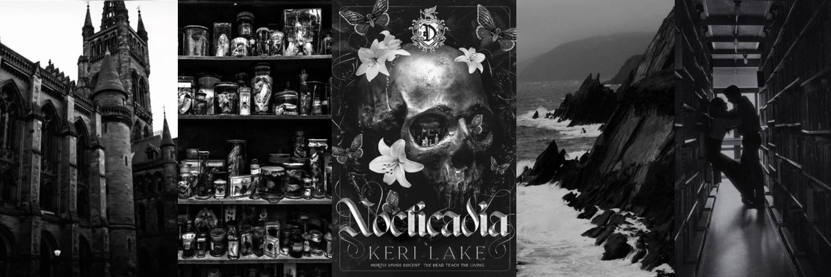 isa 🪼 tweet media