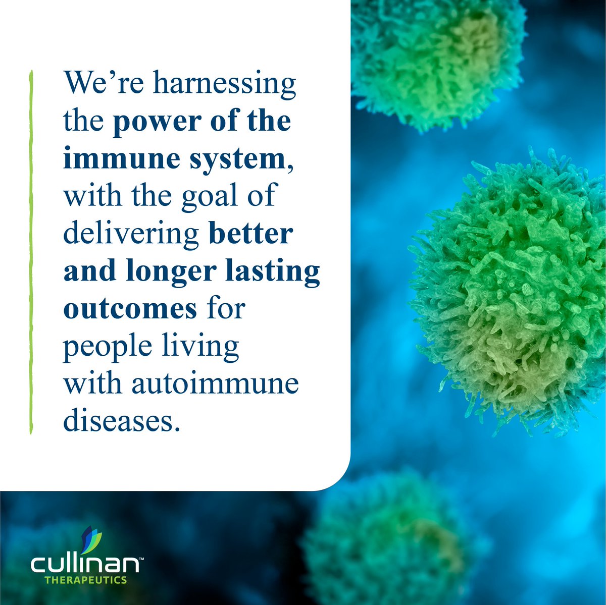 Cullinan Therapeutics tweet media