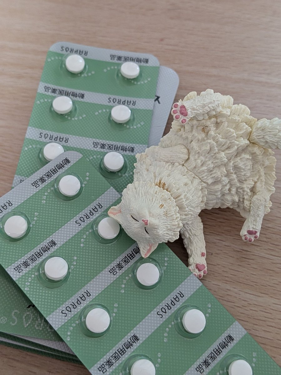 爺様兄ニャンの薬を貰いに動物病院に行ったの
会計の前で座って待ってたの
次々に3万だ4万だと私にしたら破格の現金が簡単に飛び交ってて…
複雑な思い
 #猫