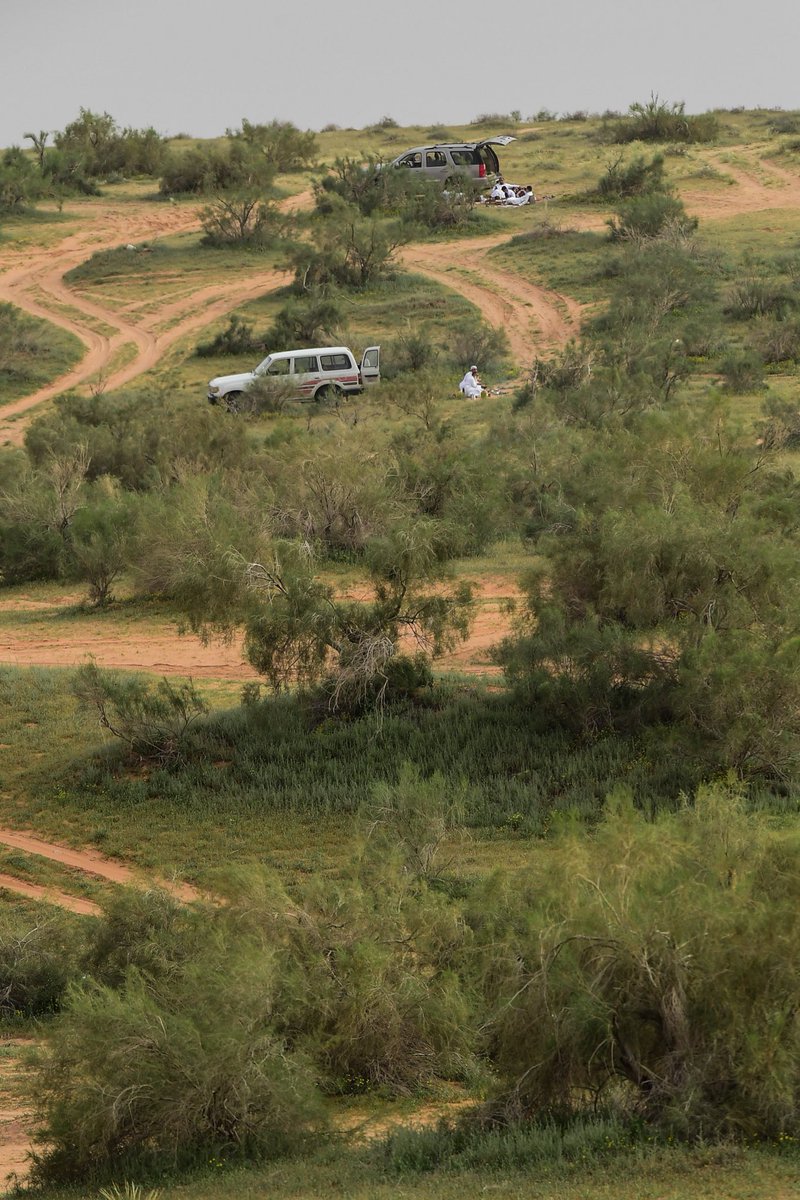 عبدالله العكشان 🇸🇦 tweet media