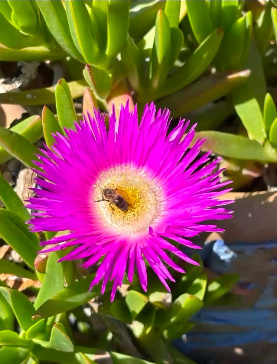 Marco Riga tweet media