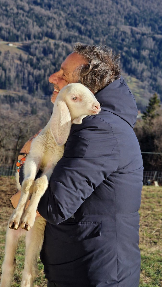 Mario Tozzi ⛏ tweet media