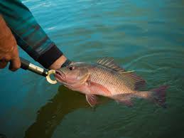 Give A Shit About Nature tweet media