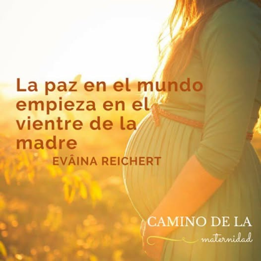 liderSanAlfonso's tweet photo. Los conflictos se suceden… Israel y Palestina, Ucrania y Rusia….
Pero no hemos de olvidar la violencia física que sufren las mujeres y el Nasciturus ante un aborto. Ellos son los más indefensos #SiaLaVida https://t.co/AMtXCedGf0