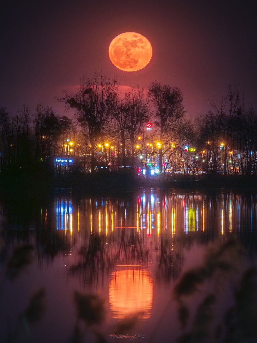 Kamil Fober - polskie krajobrazy i pogoda tweet media