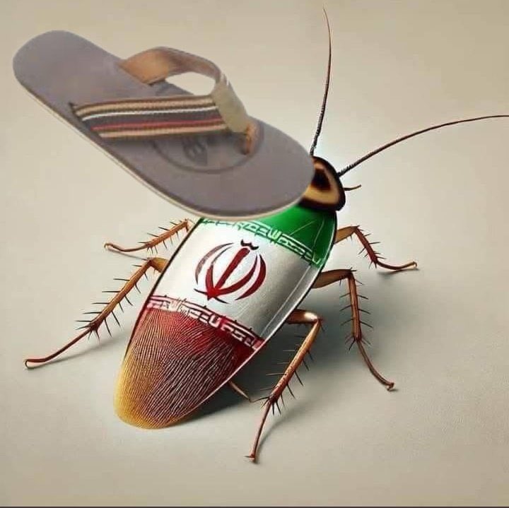 سليّـم بن سـالم tweet media