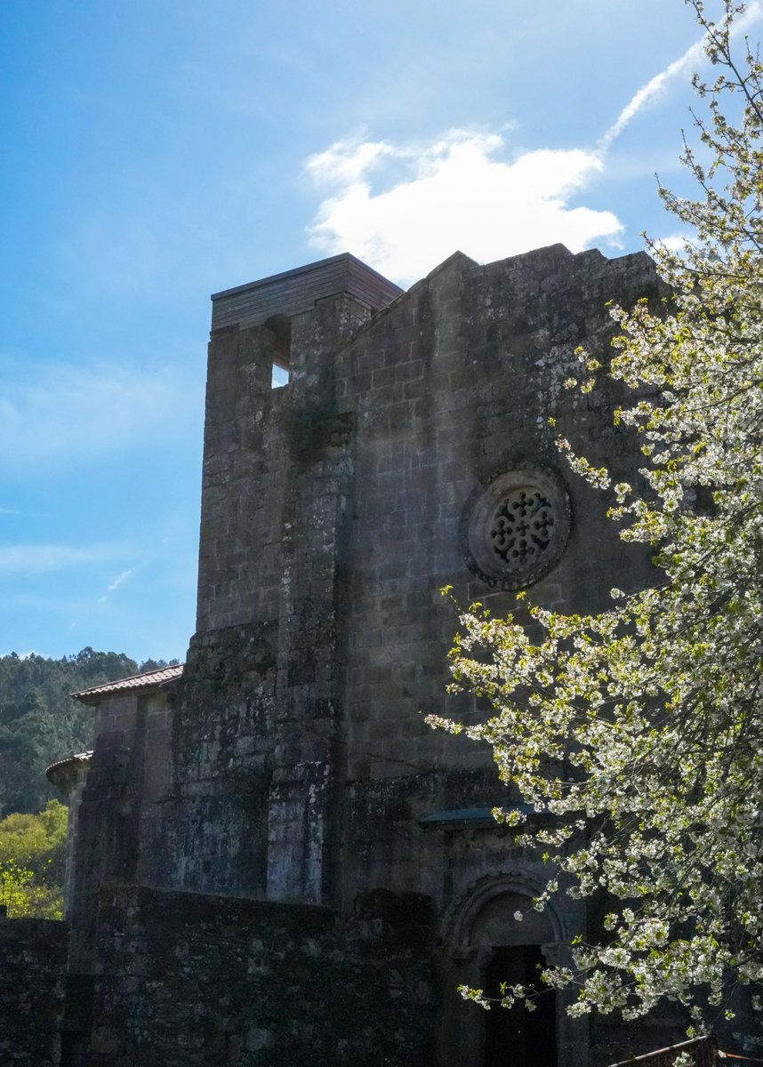 Luis López Lugués tweet media