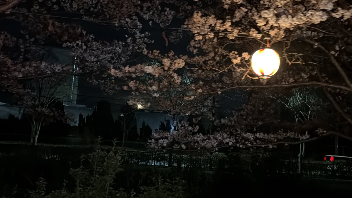 てこパカ(tecopaca)新肉球同盟写真部😻清掃隊🧼咲顔繋がり💜 tweet media