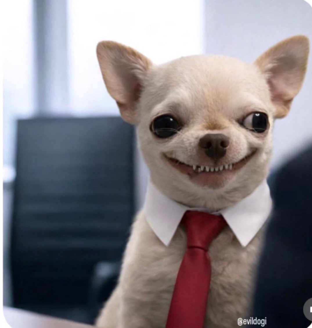 QUINN ° tweet media