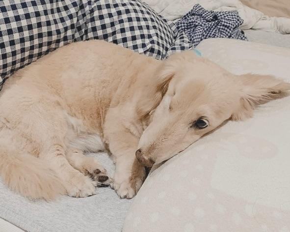 Sara Mary ⭐❤️ tweet media