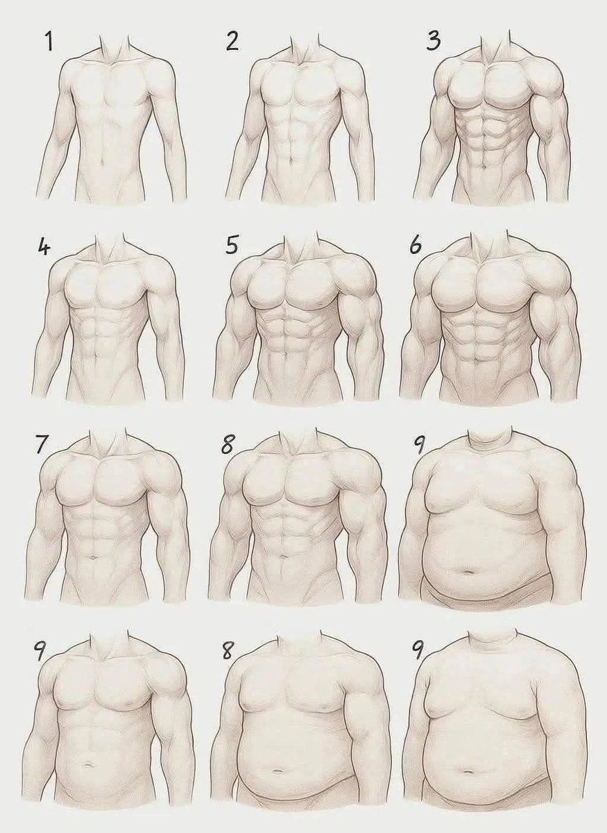 All Diffenert Body Types @Iearndoctor Body types