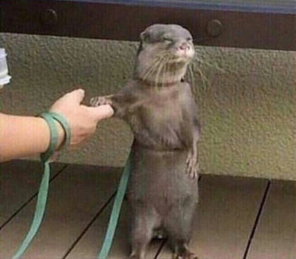 الشايب شخصياً tweet media