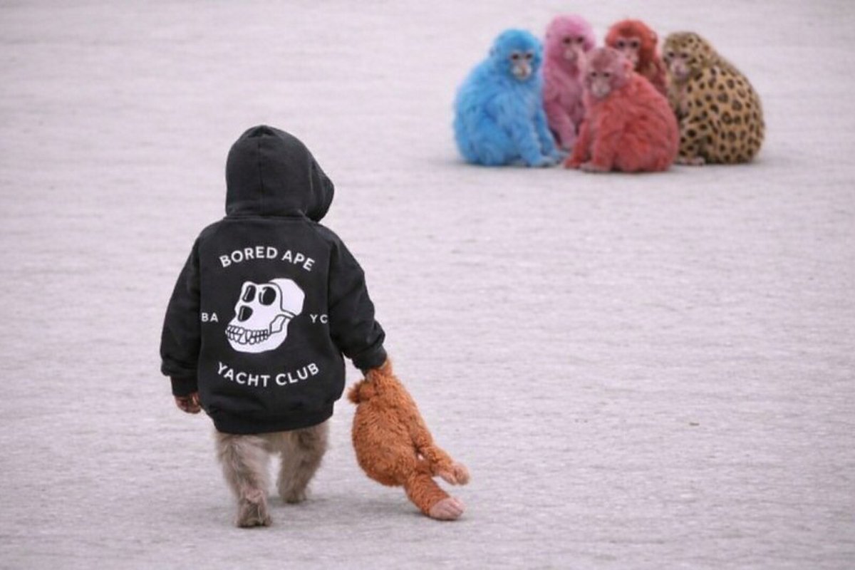 Bored Ape Yacht Club 🍌 tweet media