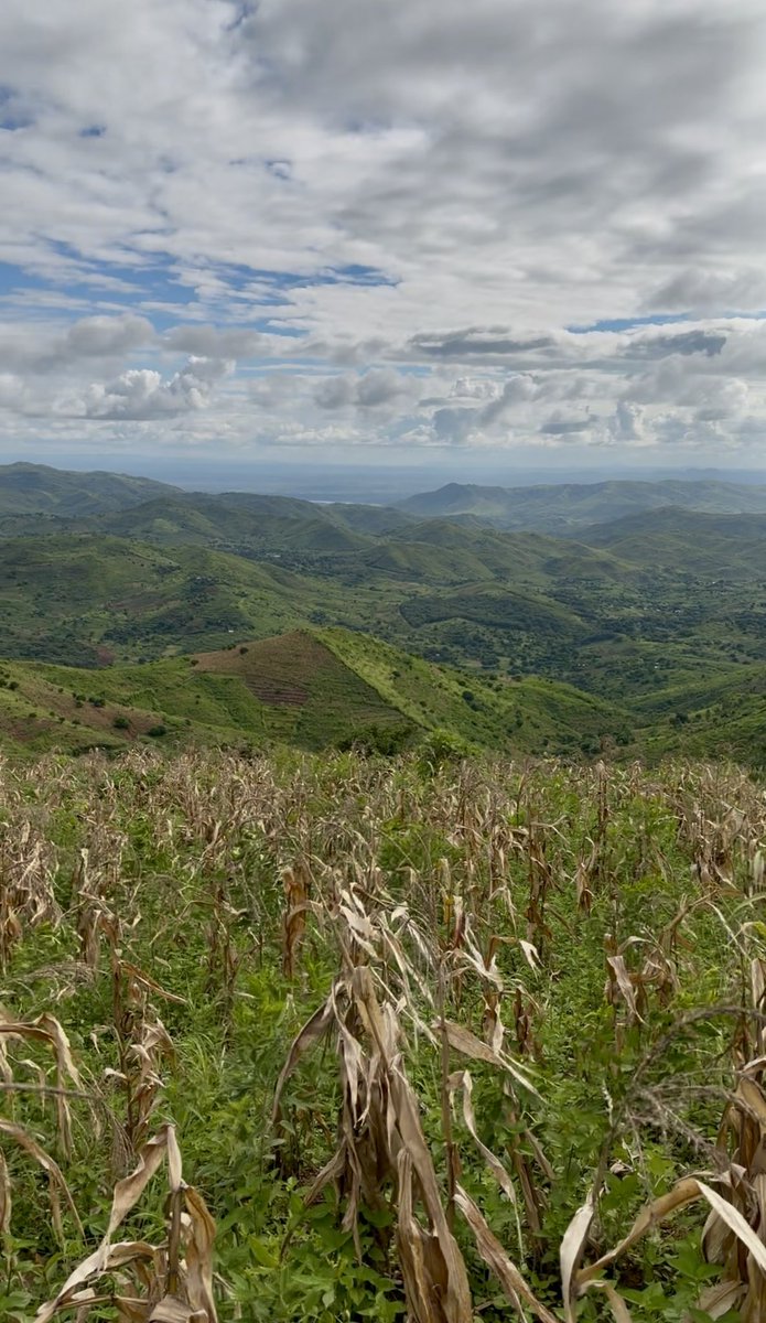 Erhan İdiz tweet media