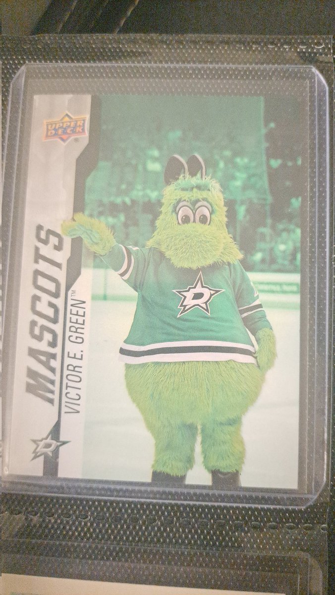 JohnnyStarsz's tweet photo. @unlimited_ls Victore says fuck you! Go Stars! https://t.co/0L21FbLL9G