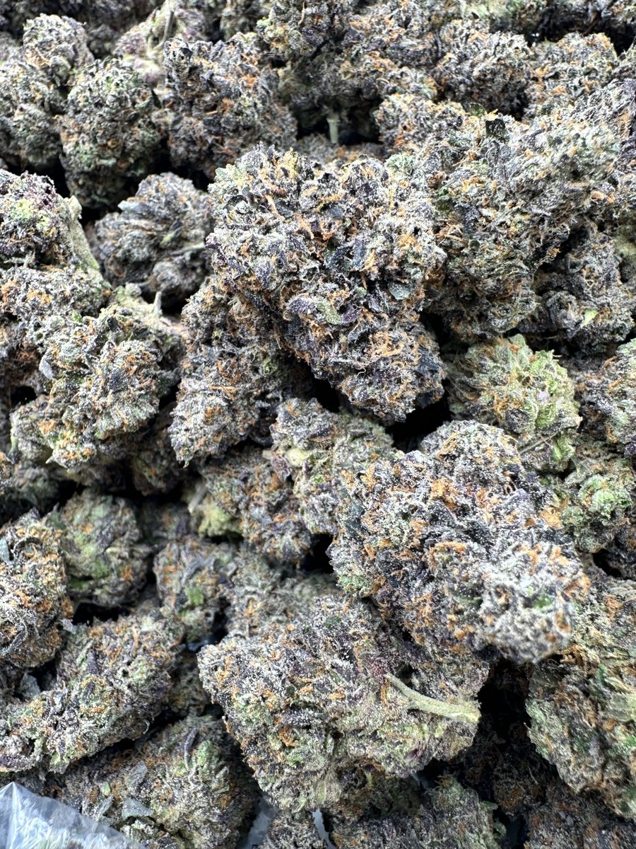 Neptune Seed Bank tweet media