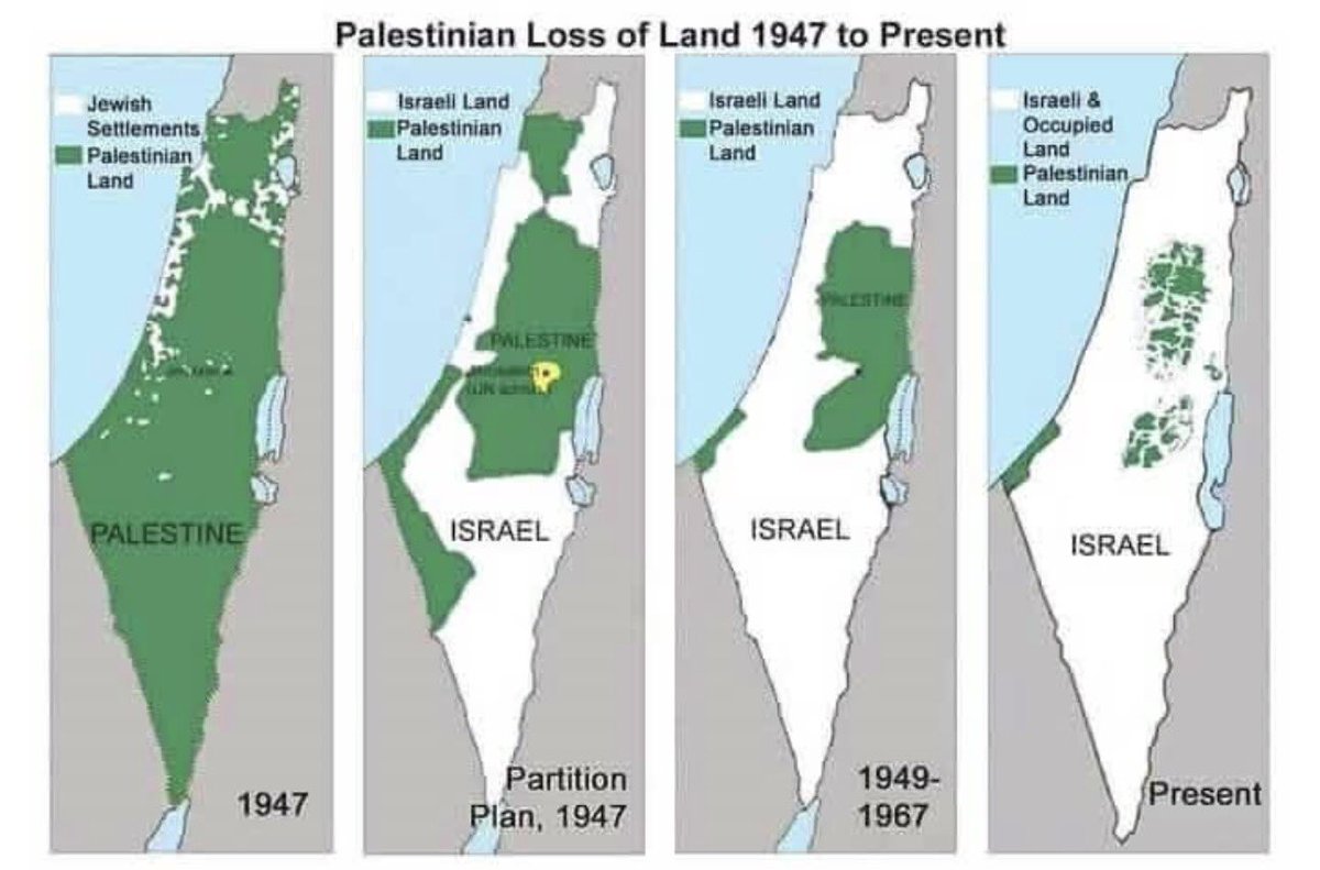 Timbuktu Sheikh tweet media