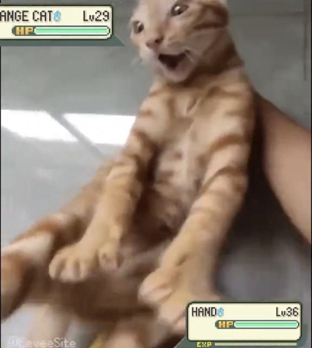 ꡴ ᴀɢɴᴛ. 𝓡ᴇʏᴇs. tweet media