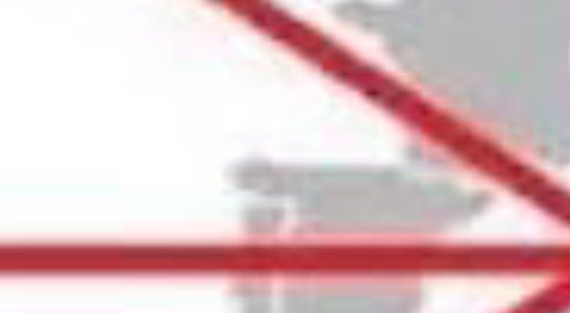 Mario Morales tweet media