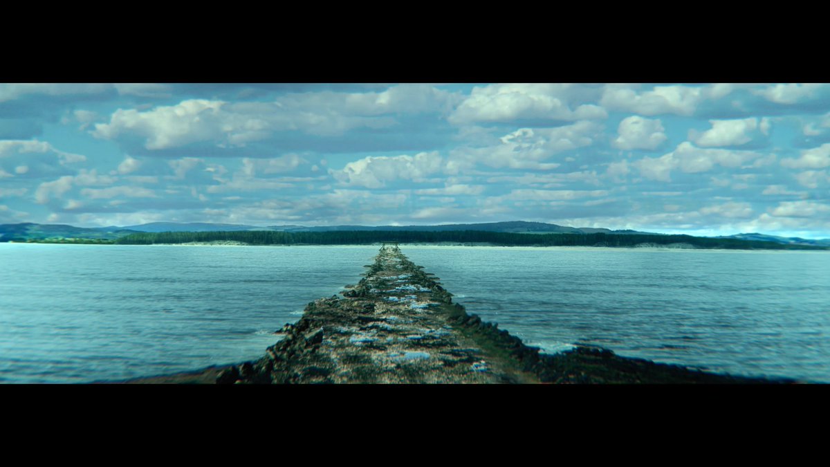 💀 Alex - 28 Years Superfan tweet media