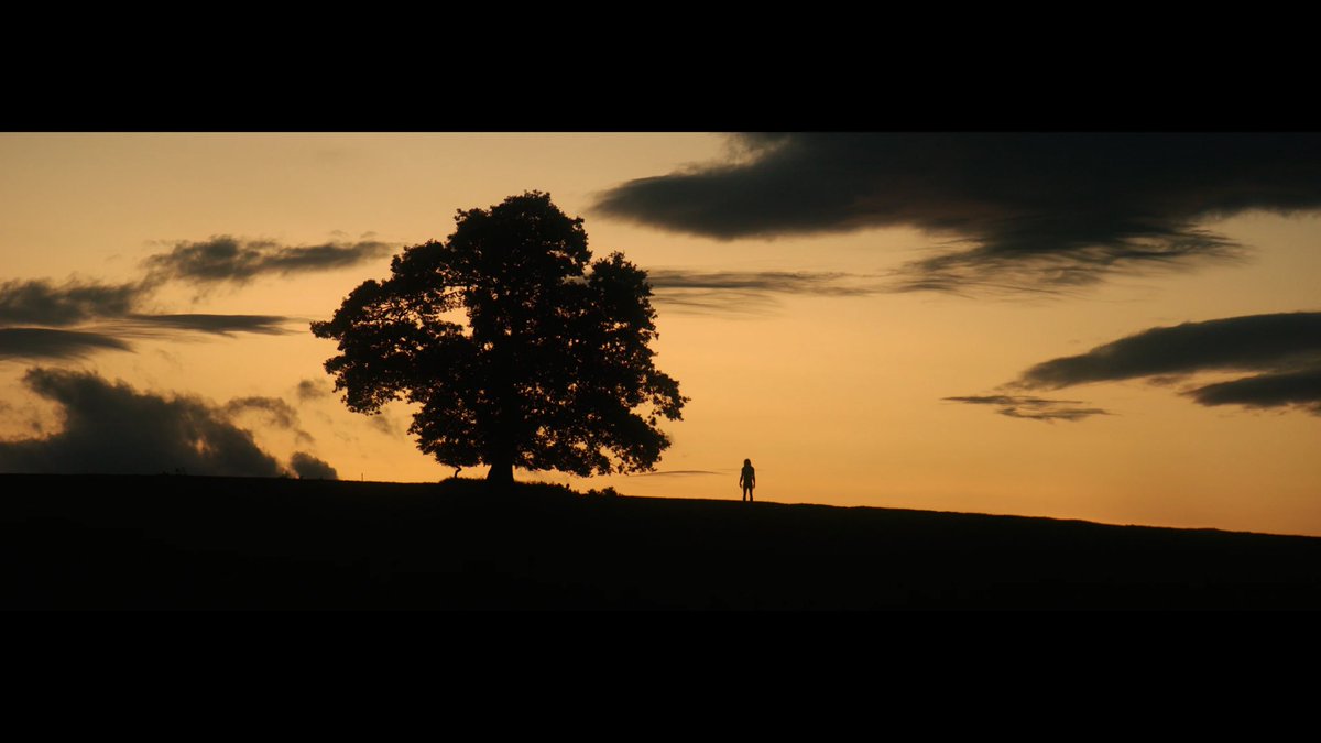 💀 Alex - 28 Years Superfan tweet media