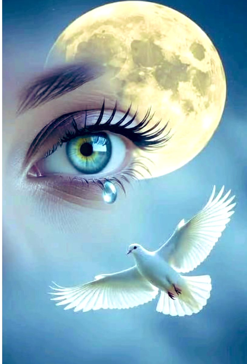 ابواحمد عوصي العاصمي Abu Ahmed Al-Aismi tweet media