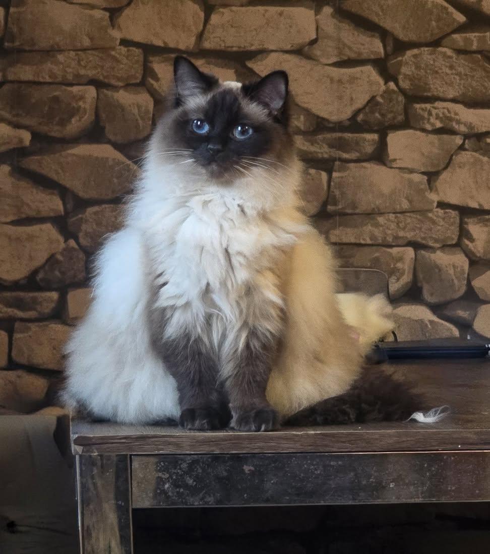 Sara Mary ⭐❤️ tweet media