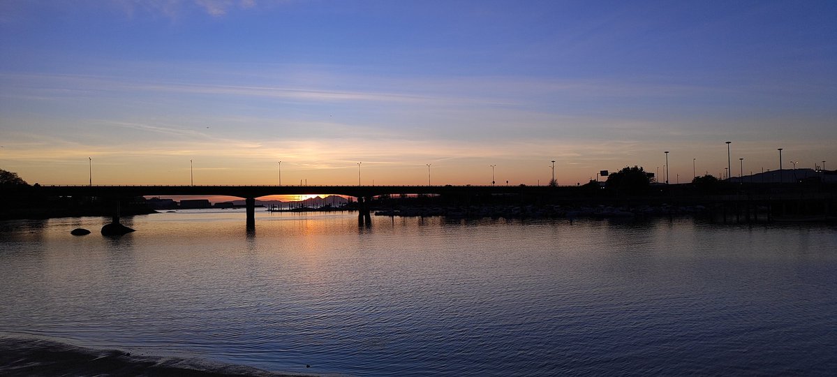 Emecé 🌷 tweet media