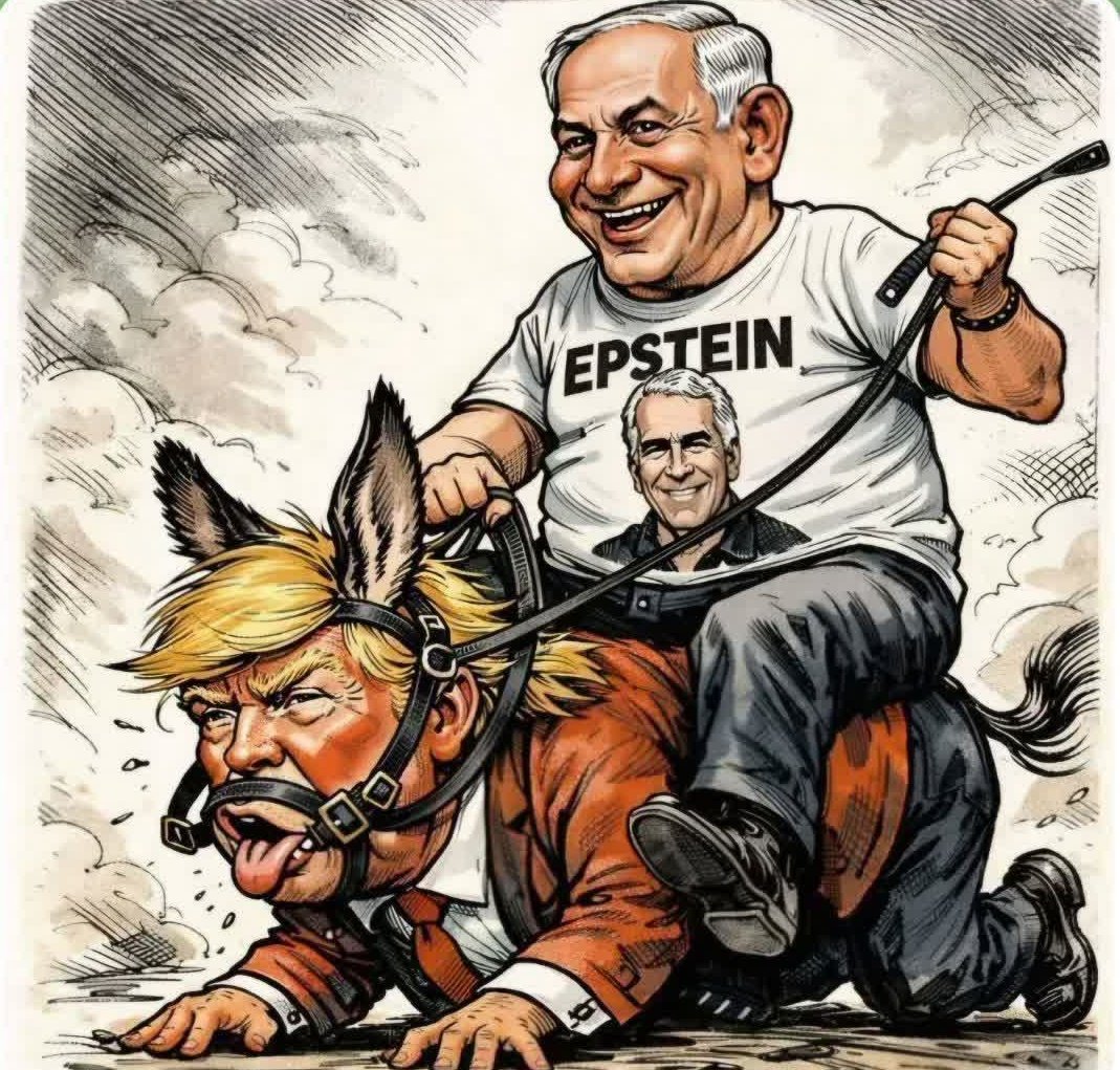 شبنمـ عبداللّــهی🟥 ☫ 🟩 tweet media