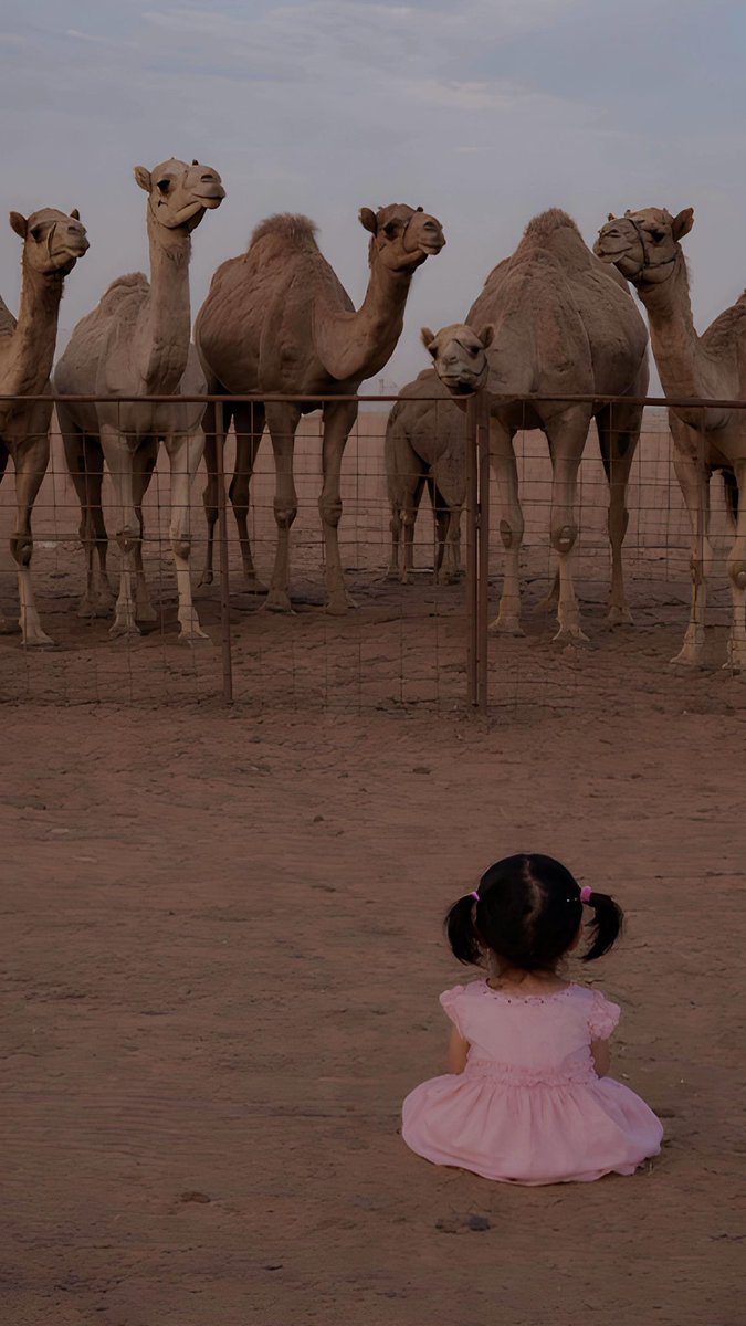 تمنّي tweet media